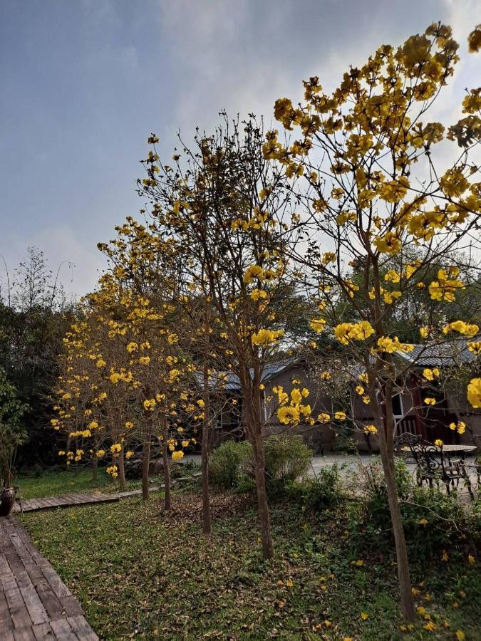 Ferienwohnung Pas-Taai Leisure Farm Nanzhuang Exterior foto